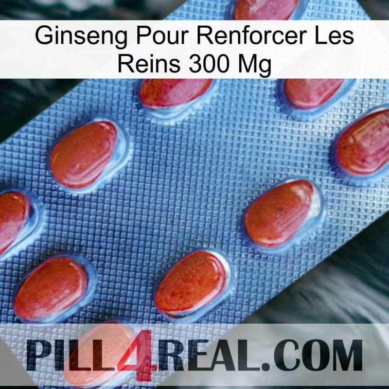 Ginseng For Reinforcing Kidney 300 Mg 06